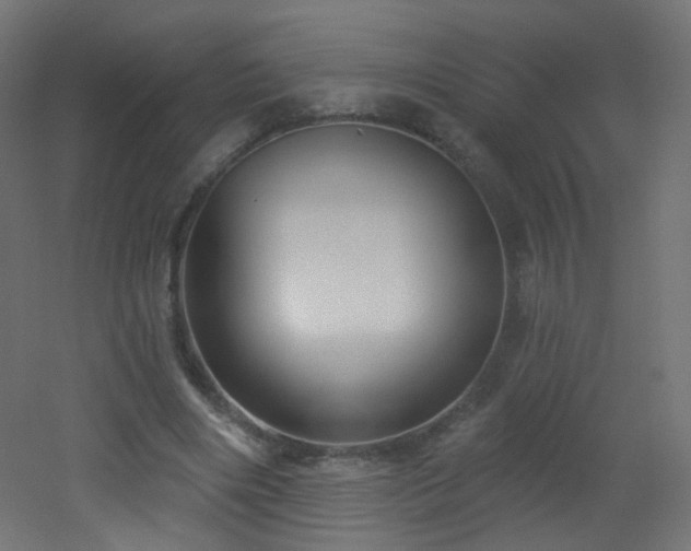 X0000053160490200507111511