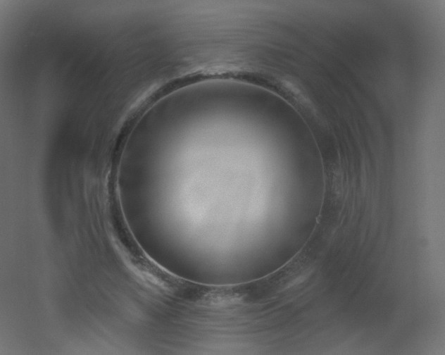 X0000053160491200507111511