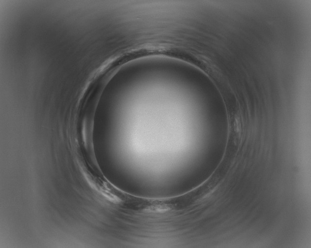 X0000053160492200507111511