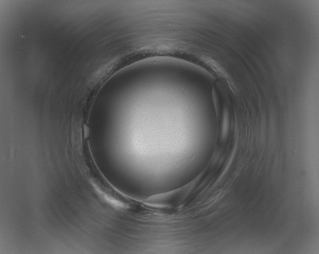 X0000053160493200507111511