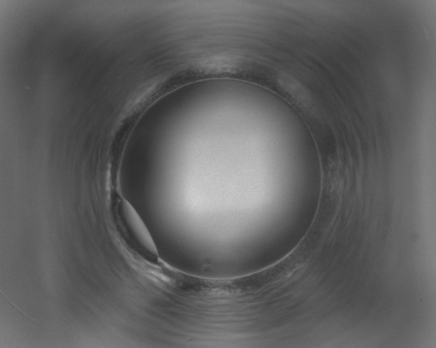 X0000053160494200507111511