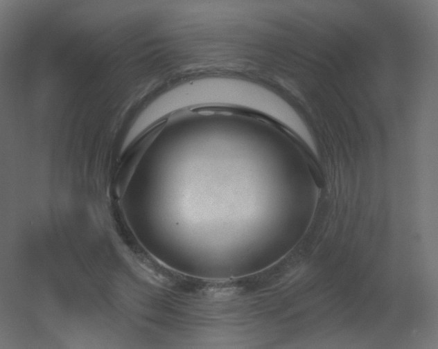 X0000053160495200507111511