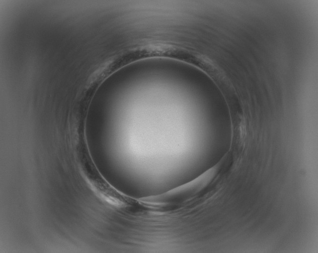 X0000053160496200507111511