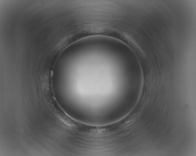 X0000053160497200507111511