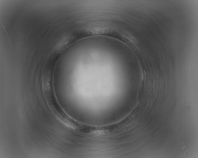 X0000053160499200507111511