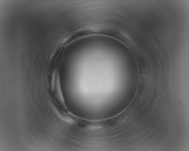X0000053160500200507111511
