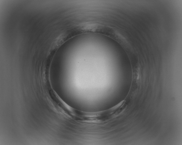 X0000053160504200507111511