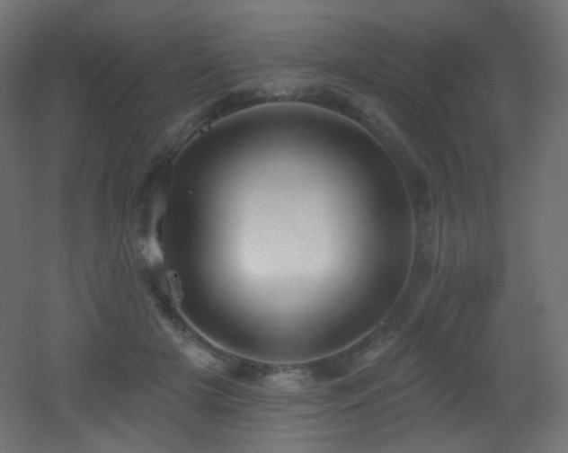 X0000053160505200507111511
