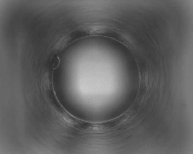 X0000053160506200507111511