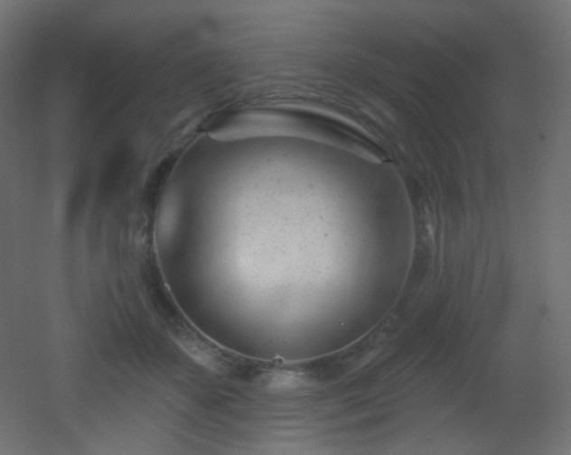 X0000053160507200507111511