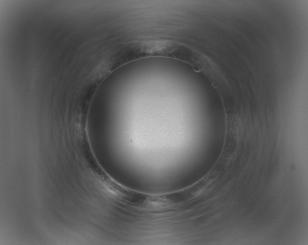 X0000053160510200507111511