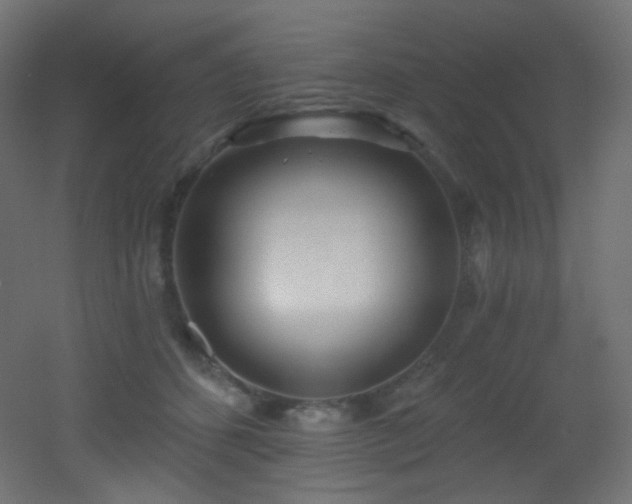 X0000053160512200507111511