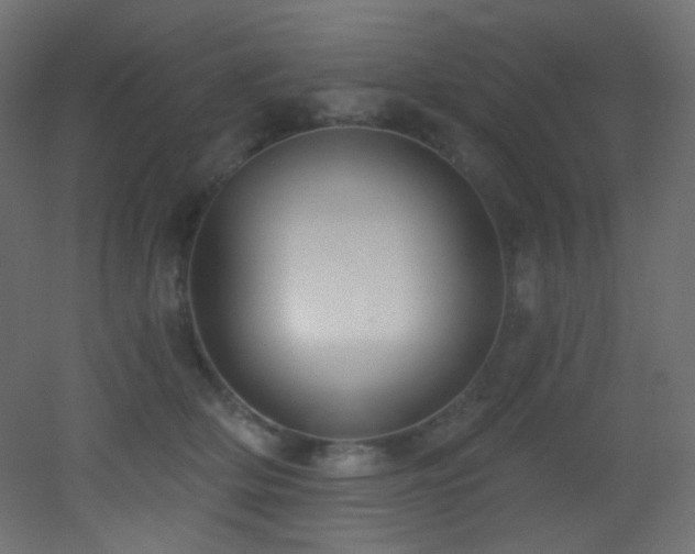 X0000053160514200507111511
