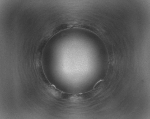 X0000053160515200507111511