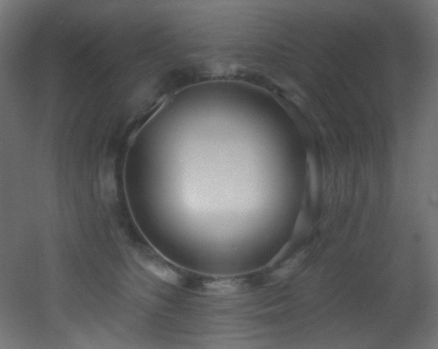X0000053160516200507111511