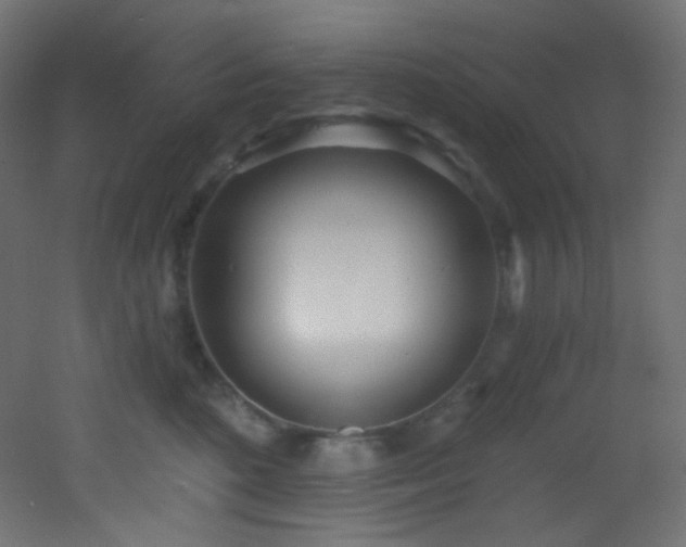 X0000053160520200507111511