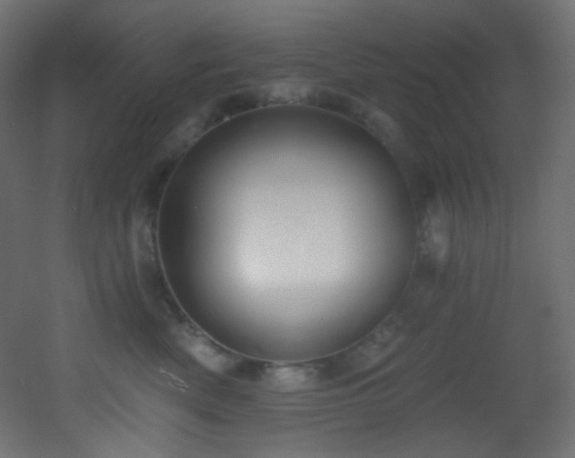 X0000053160522200507111511