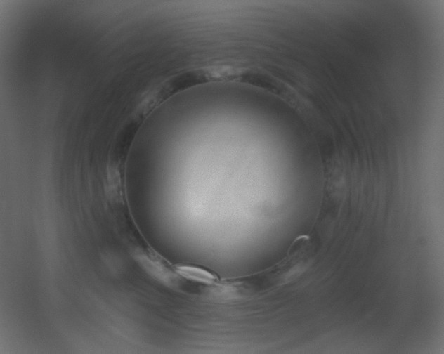 X0000053160523200507111510