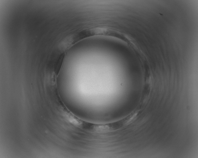 X0000053160525200507111510