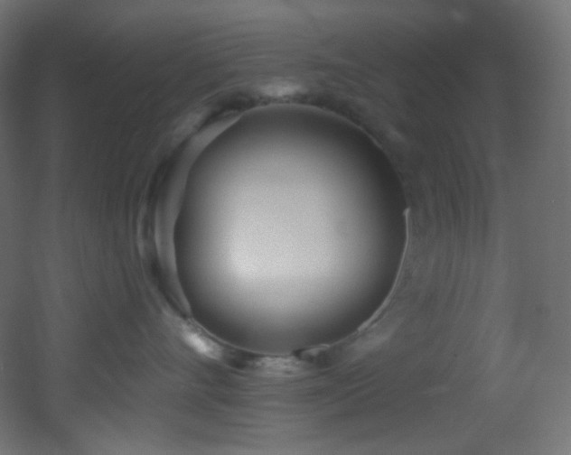 X0000053160528200507111510
