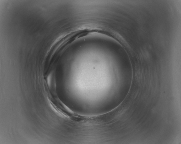 X0000053160530200507111510
