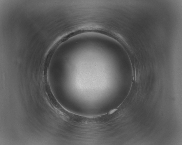 X0000053160531200507111510