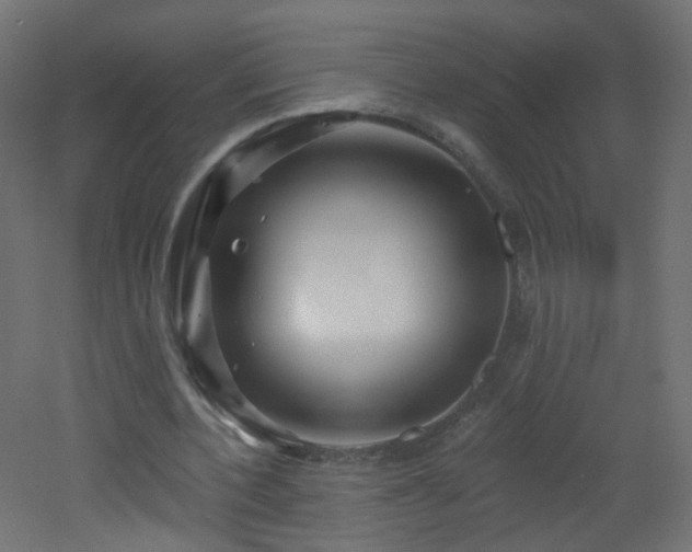 X0000053160532200507111510