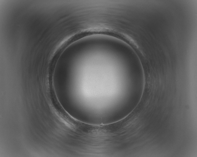 X0000053160535200507111510