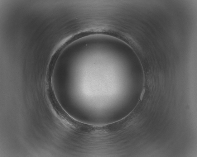 X0000053160536200507111510