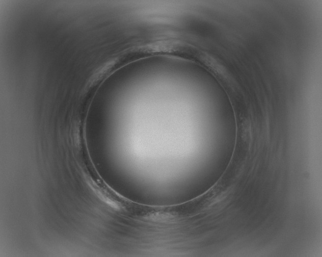 X0000053160537200507111510