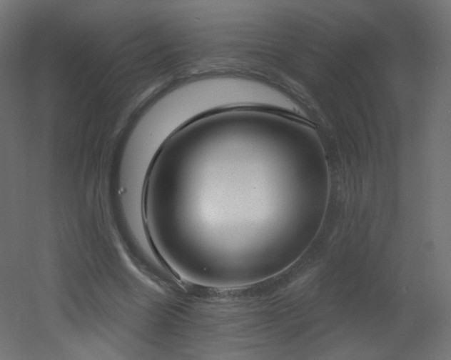 X0000053160538200507111510