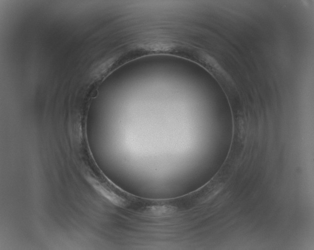 X0000053160541200507111510