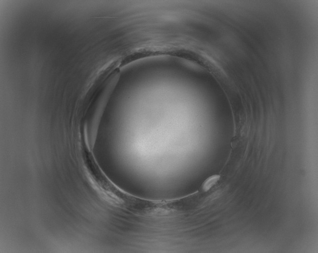 X0000053160542200507111510