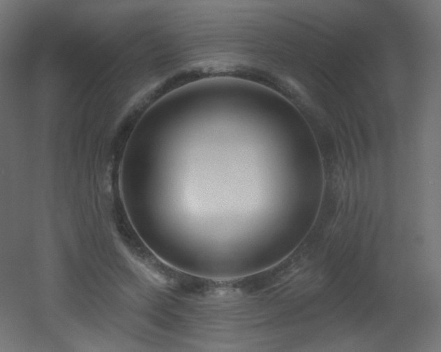 X0000053160543200507111510