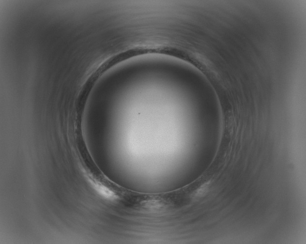 X0000053160544200507111510