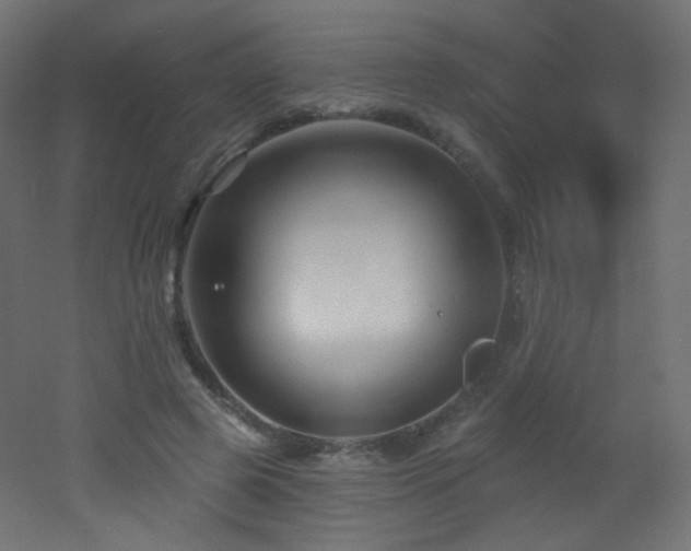 X0000053160545200507111510