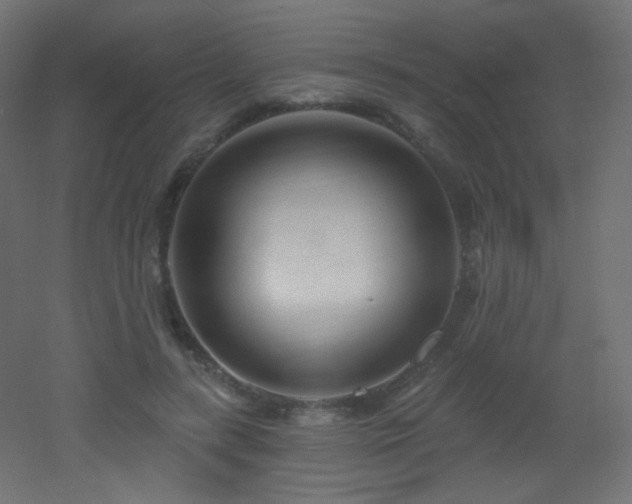 X0000053160547200507111510