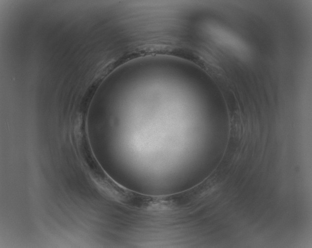 X0000053160550200507111510