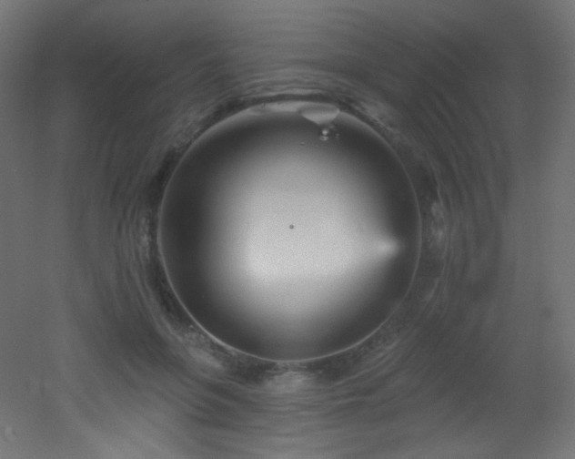 X0000053160551200507111510