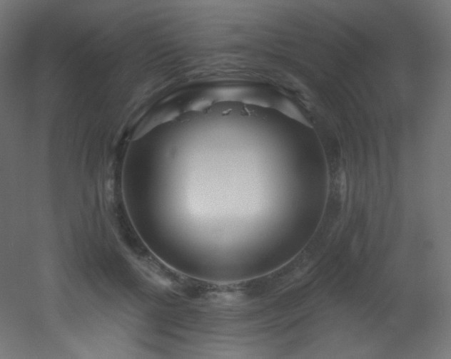 X0000053160552200507111510