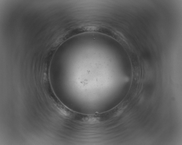 X0000053160553200507111510