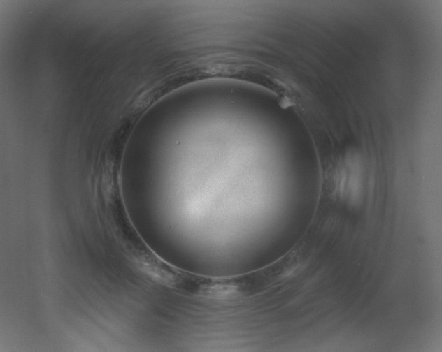 X0000053160554200507111510