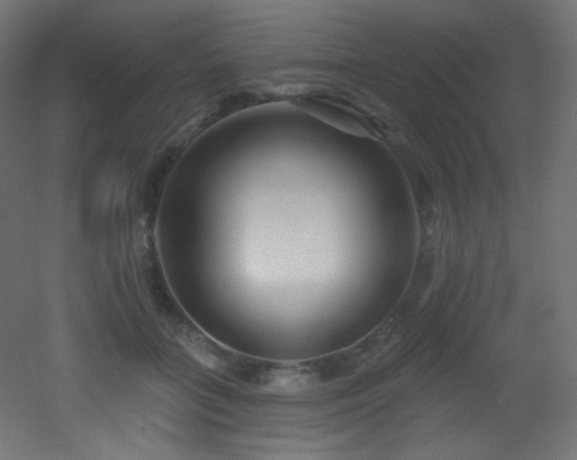X0000053160555200507111510