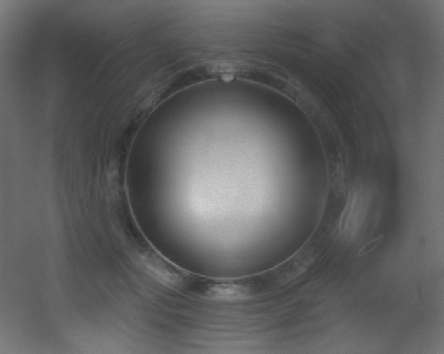 X0000053160557200507111510