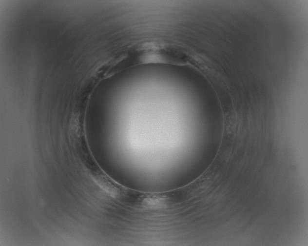 X0000053160560200507111510