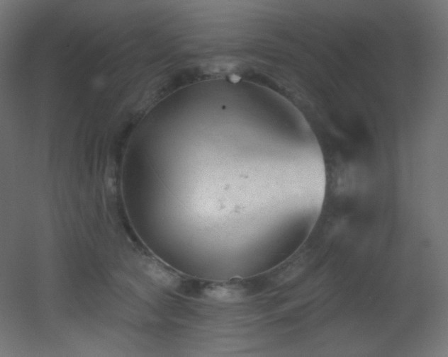 X0000053160561200507111510