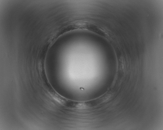 X0000053160562200507111510