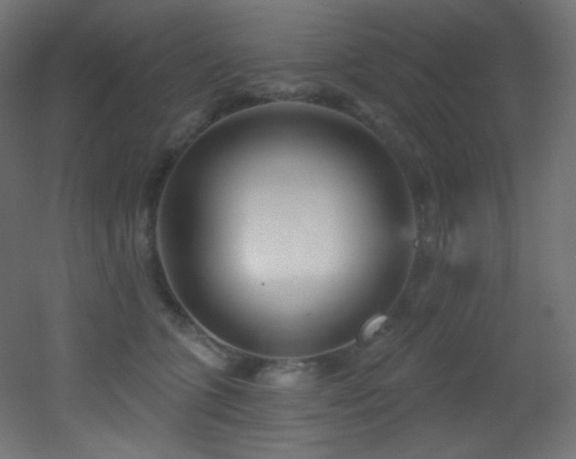 X0000053160563200507111510