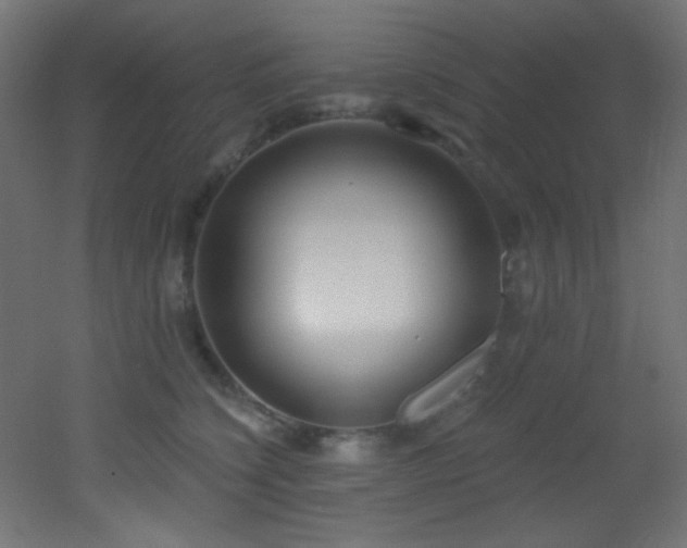 X0000053160564200507111510