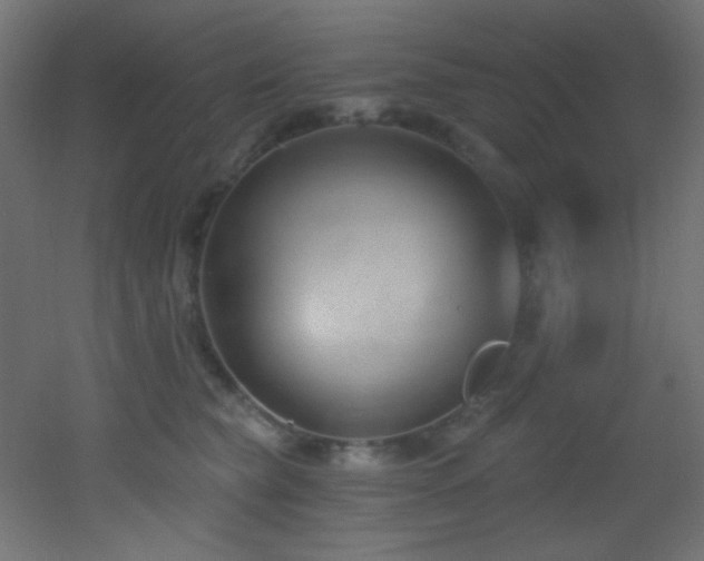 X0000053160565200507111510